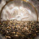 Close-Up of Chia Seeds in a Plastic Bottle Close-Up of Chia Seeds in a Plastic Bottle - PhotoDune Item for Sale