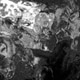 Monochrome Organic Noise Texture with Fluid Pattern Monochrome Organic Noise Texture with Fluid Pattern - PhotoDune Item for Sale