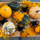 Close-up of assorted seasonal gourds surrounded by yellow leaves and black fuzzy spiders on a wooden Close-up of assorted seasonal gourds surrounded by yellow leaves and black fuzzy spiders on a wooden - PhotoDune Item for Sale