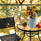 Simple autumn balcony setup with floral centerpiece in a vintage can beside gourds and a mesh chair Simple autumn balcony setup with floral centerpiece in a vintage can beside gourds and a mesh chair - PhotoDune Item for Sale