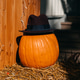 Pumpkin sitting on a straw bale wearing a dark fedora hat next to a wooden wall. Halloween decor, co Pumpkin sitting on a straw bale wearing a dark fedora hat next to a wooden wall. Halloween decor, co - PhotoDune Item for Sale