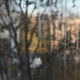 Wet Glass Covered With Drops and Flowing Streaks, Wet Glass Covered With Drops and Flowing Streaks, - PhotoDune Item for Sale