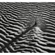 White Sands NP, Alamogordo, White Sands NP, Alamogordo, - PhotoDune Item for Sale