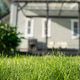 Green lawn with blurred suburban house background Green lawn with blurred suburban house background - PhotoDune Item for Sale