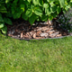 Decorative garden border with bark mulch and flowering plants Decorative garden border with bark mulch and flowering plants - PhotoDune Item for Sale