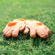 Orange gardening gloves on green lawn ready for garden work Orange gardening gloves on green lawn ready for garden work - PhotoDune Item for Sale