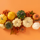 Colorful pumpkin border with autumn leaves on orange background Colorful pumpkin border with autumn leaves on orange background - PhotoDune Item for Sale