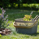 Garden basket with pruning shears on green summer lawn Garden basket with pruning shears on green summer lawn - PhotoDune Item for Sale