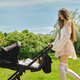 Young mother walking in park with baby sleeping in stroller on sunny day Young mother walking in park with baby sleeping in stroller on sunny day - PhotoDune Item for Sale