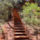 Wooden Stairs Leading Up A Sunlit Red Clay Trail Through A Green Forested Hillside Wooden Stairs Leading Up A Sunlit Red Clay Trail Through A Green Forested Hillside - PhotoDune Item for Sale