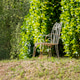 Vintage Metal Garden Chair Beside Lush Hedge in Sunny Peaceful Outdoor Backyard Scene Vintage Metal Garden Chair Beside Lush Hedge in Sunny Peaceful Outdoor Backyard Scene - PhotoDune Item for Sale