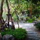Japanese style garden with green plants Japanese style garden with green plants - PhotoDune Item for Sale