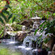 Japanese style garden with green plants Japanese style garden with green plants - PhotoDune Item for Sale