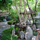 Japanese style garden with green plants Japanese style garden with green plants - PhotoDune Item for Sale