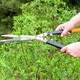 Spring Work in Garden in Summer. Farmer Women Cutting Green Bush Plant in Yard With Scissors. Spring Work in Garden in Summer. Farmer Women Cutting Green Bush Plant in Yard With Scissors. - PhotoDune Item for Sale