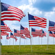 Several American flags waving in the wind in an open field Several American flags waving in the wind in an open field - PhotoDune Item for Sale