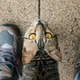 Gray Stray Cat Looking Up Between Human Legs Gray Stray Cat Looking Up Between Human Legs - PhotoDune Item for Sale