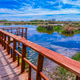 Tablas de Daimiel National Park, Spain Tablas de Daimiel National Park, Spain - PhotoDune Item for Sale