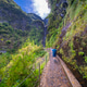 Levada do Risco, Madeira, Portugal Levada do Risco, Madeira, Portugal - PhotoDune Item for Sale