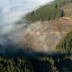 Aerial view of dense pine forest on hills above a thick sea of fog Aerial view of dense pine forest on hills above a thick sea of fog - PhotoDune Item for Sale