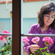Senior woman caring for geranium flowers in window Senior woman caring for geranium flowers in window - PhotoDune Item for Sale