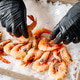 Fresh Prawns and Shrimp Displayed on Crushed Ice at Seafood Market Fresh Prawns and Shrimp Displayed on Crushed Ice at Seafood Market - PhotoDune Item for Sale