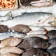Assorted Fresh Fish, Prawns and Seafood on Ice at Market Counter Assorted Fresh Fish, Prawns and Seafood on Ice at Market Counter - PhotoDune Item for Sale