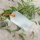Fresh rosemary sprigs with blank tag on stone background Fresh rosemary sprigs with blank tag on stone background - PhotoDune Item for Sale