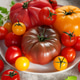 Fresh organic heirloom tomatoes creating colorful healthy food display Fresh organic heirloom tomatoes creating colorful healthy food display - PhotoDune Item for Sale