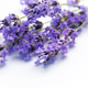 Lavender flowers creating relaxing aromatherapy herbal concept Lavender flowers creating relaxing aromatherapy herbal concept - PhotoDune Item for Sale