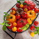 Fresh organic heirloom tomatoes in harvest basket from garden Fresh organic heirloom tomatoes in harvest basket from garden - PhotoDune Item for Sale