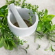 Mortar and pestle grinding fresh herbs for wellness Mortar and pestle grinding fresh herbs for wellness - PhotoDune Item for Sale