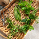 Fresh herbs collected in wicker basket with gardening supplies Fresh herbs collected in wicker basket with gardening supplies - PhotoDune Item for Sale