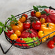 Fresh organic heirloom tomatoes in harvest basket from garden Fresh organic heirloom tomatoes in harvest basket from garden - PhotoDune Item for Sale