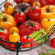 Fresh organic heirloom tomatoes in harvest basket from garden Fresh organic heirloom tomatoes in harvest basket from garden - PhotoDune Item for Sale