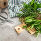 Fresh herbs with garden scissors and twine on board Fresh herbs with garden scissors and twine on board - PhotoDune Item for Sale
