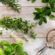 Fresh herbs collected on rustic wooden background Fresh herbs collected on rustic wooden background - PhotoDune Item for Sale
