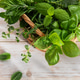 Fresh garden herbs in weaving basket for cooking Fresh garden herbs in weaving basket for cooking - PhotoDune Item for Sale