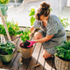 Woman Repotting Plant on Balcony Garden in Morning Sunlight Woman Repotting Plant on Balcony Garden in Morning Sunlight - PhotoDune Item for Sale