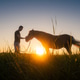 Silhouette man stroking horse during hippotherapy session at sunset Silhouette man stroking horse during hippotherapy session at sunset - PhotoDune Item for Sale