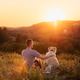 Man sitting together with his dog on green grass meadow during beautiful sunset Man sitting together with his dog on green grass meadow during beautiful sunset - PhotoDune Item for Sale