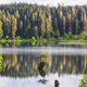 Vancouver island Vancouver island - PhotoDune Item for Sale