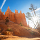 Bryce Bryce - PhotoDune Item for Sale