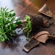 Broken terracotta pot with spilled soil and houseplant Broken terracotta pot with spilled soil and houseplant - PhotoDune Item for Sale