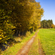 Autumn Country Path Through Green Fields in Bergen Autumn Country Path Through Green Fields in Bergen - PhotoDune Item for Sale