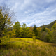Autumn Meadow Landscape in Bergen Norway Autumn Meadow Landscape in Bergen Norway - PhotoDune Item for Sale
