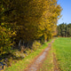 Autumn Gravel Path Beside Green Field in Bergen Autumn Gravel Path Beside Green Field in Bergen - PhotoDune Item for Sale
