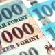Hungarian Forints currency money bills in big amount. Stack of HUF currency banknotes Hungarian Forints currency money bills in big amount. Stack of HUF currency banknotes - PhotoDune Item for Sale