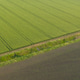 Aerial photo over golden grain wheat fields Textures Aerial photo over golden grain wheat fields Textures - PhotoDune Item for Sale