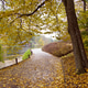 Beautiful autumn landscape with colorful trees around the pond Beautiful autumn landscape with colorful trees around the pond - PhotoDune Item for Sale